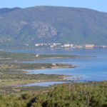 Foto: I. Chelo Archivio Ente Parco Nazionale dell_Asinara